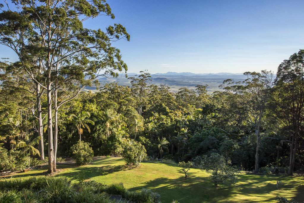 Bed and Breakfast Avocado Sunset Bed & Breakfast Mount Tamborine Exterior foto