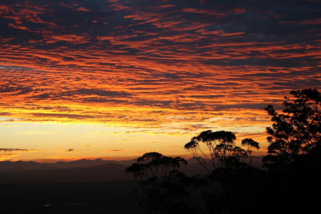 Bed and Breakfast Avocado Sunset Bed & Breakfast Mount Tamborine Exterior foto