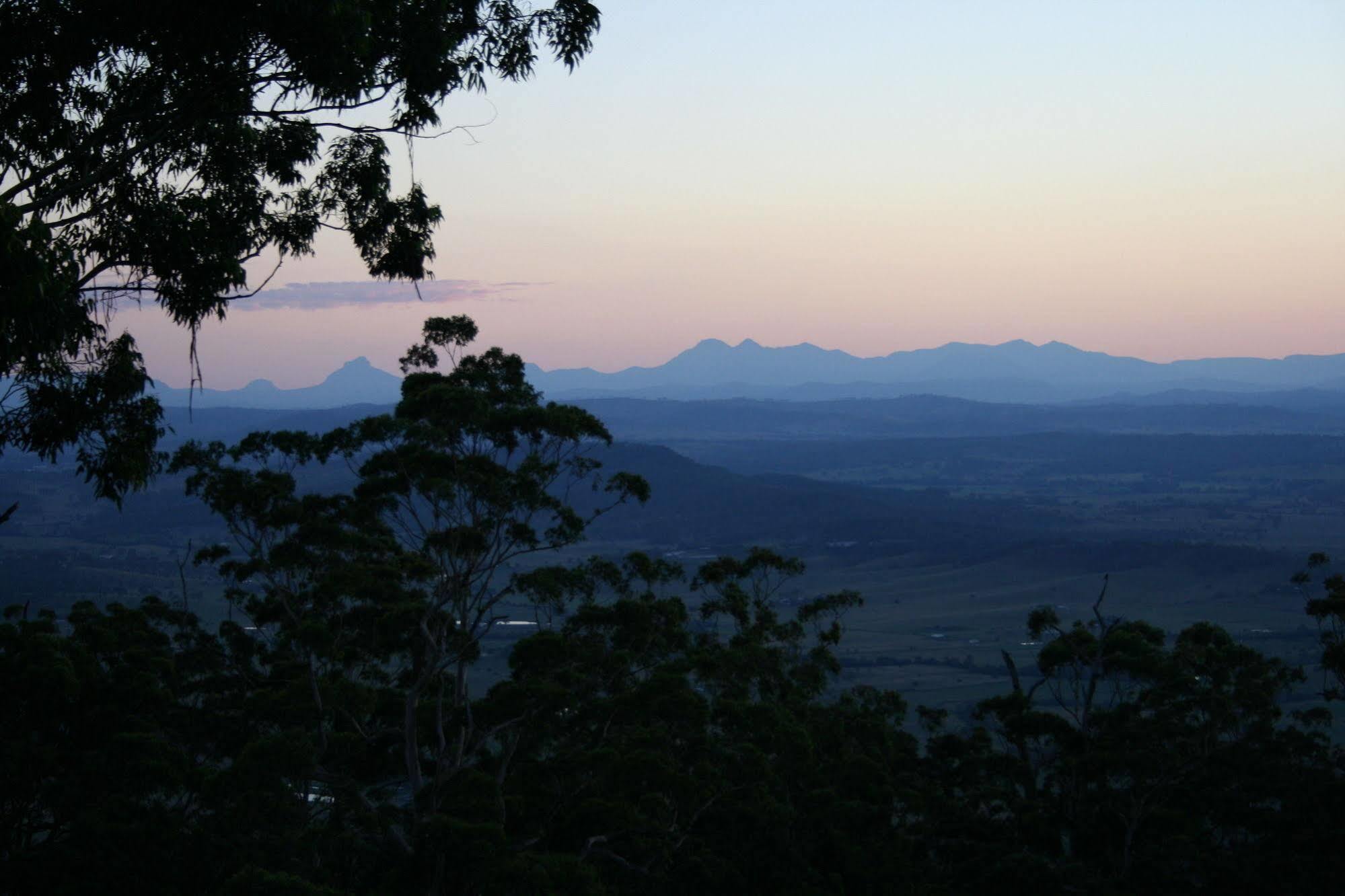 Bed and Breakfast Avocado Sunset Bed & Breakfast Mount Tamborine Exterior foto